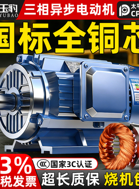 三相异步电动机 11/15/18.5/22/30/37/45/55KW 全铜国标 380V电机