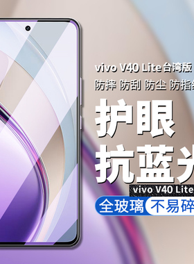 适用vivo v40lite钢化膜5G台湾版VIVO V40LITE手机膜VIVO V2417高清高透屏幕保护膜防偷窥防偷看隐私保护贴膜