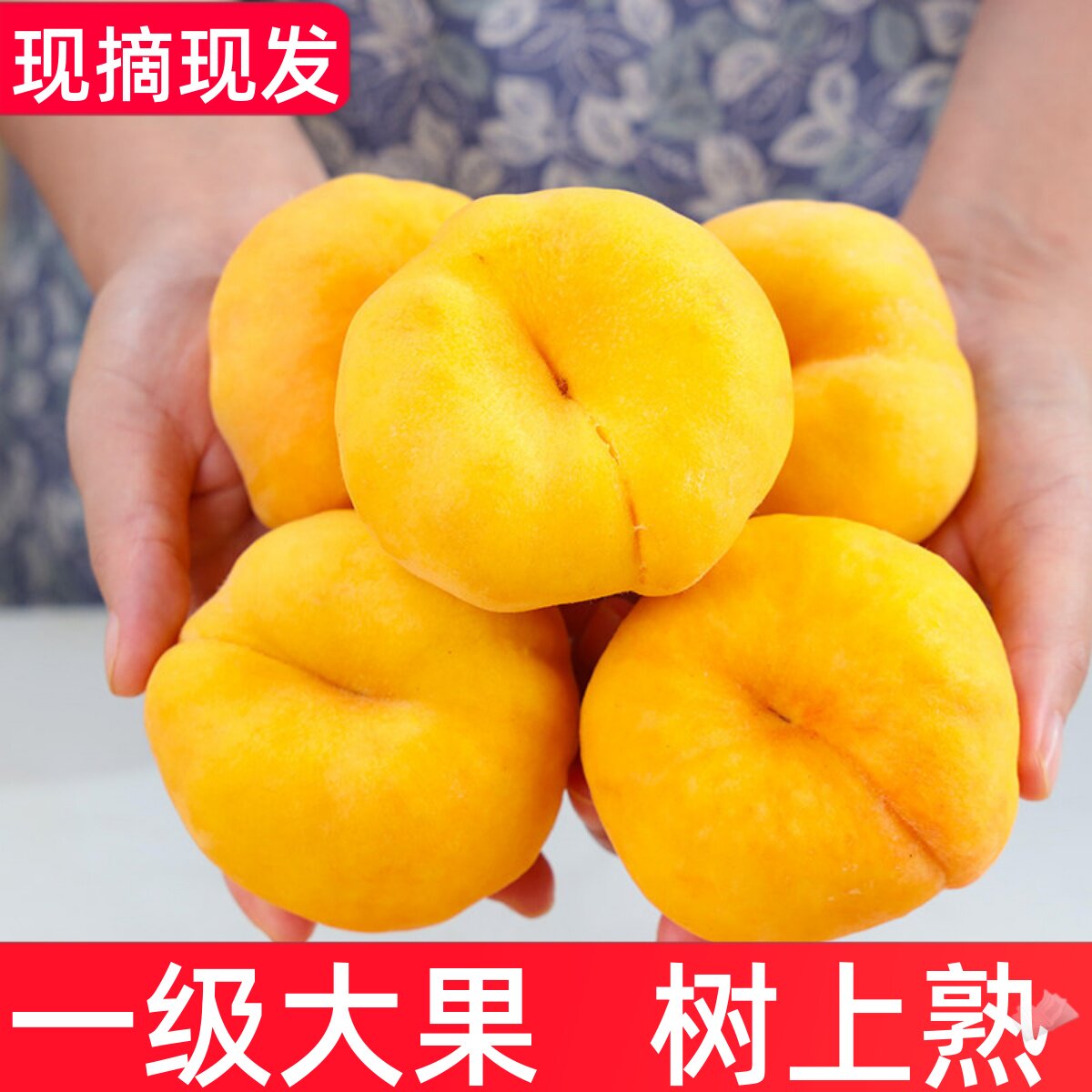 山东特产现摘现发黄金毛蟠桃5斤香甜多汁当季水果新鲜扁桃子包邮3