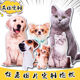 DIY来图照片定制抱枕异形有白边抱枕猫狗宠物玩偶定做靠垫礼物