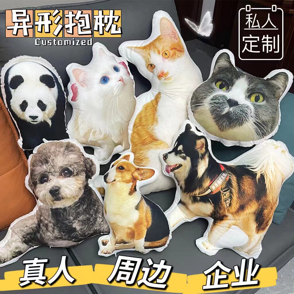 腾天阁抱枕异形仿真可印照片图片