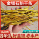 正宗赤水8年金钗石斛干条代打粉切段切片石斛粉石斛中药材500g