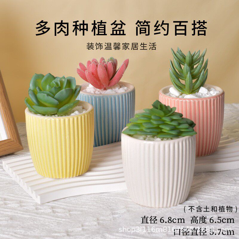 多肉花盆陶瓷桌面摆件客厅办公室桌面装饰品创意礼品绿植多肉家居