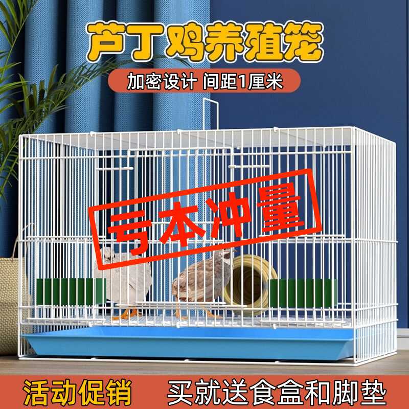 养芦丁鸡笼子家用室内加密养殖笼幼鸡小鸡小鸭子专用笼可折叠铁笼