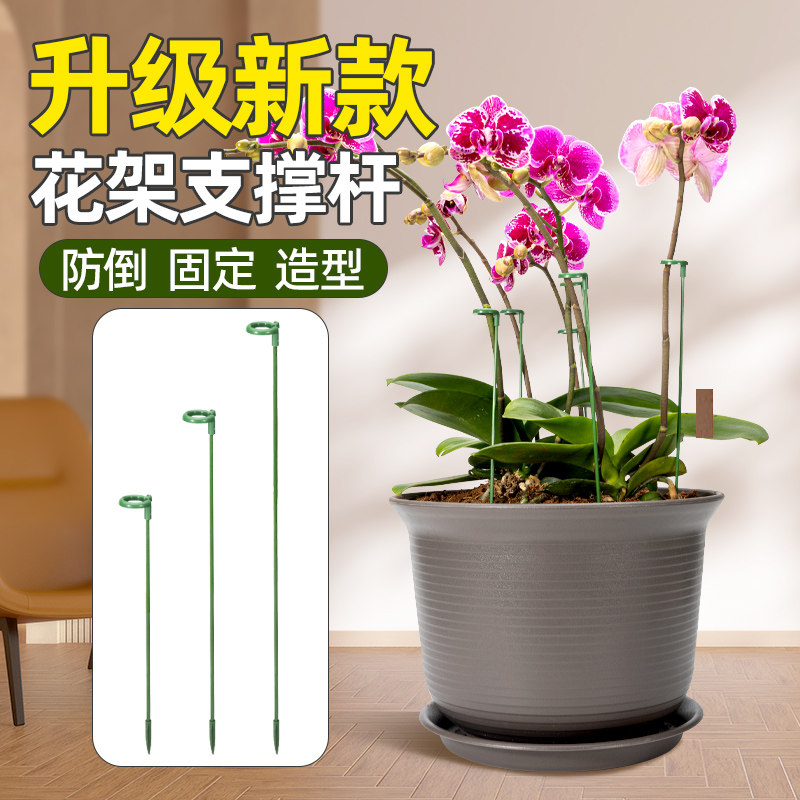 蝴蝶兰支架花架专用支撑杆防倒伏兰花支架杆花卉植物造型固定架子
