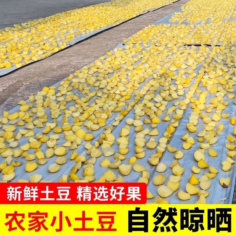 干土豆坨坨洋芋果果农家自制马铃薯四川特产土豆新货洋芋坨坨