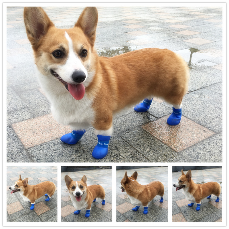 狗鞋子耐磨狗防大型基套外出小狗雨鞋宠物中型柯鞋犬防水脏迪泰犬