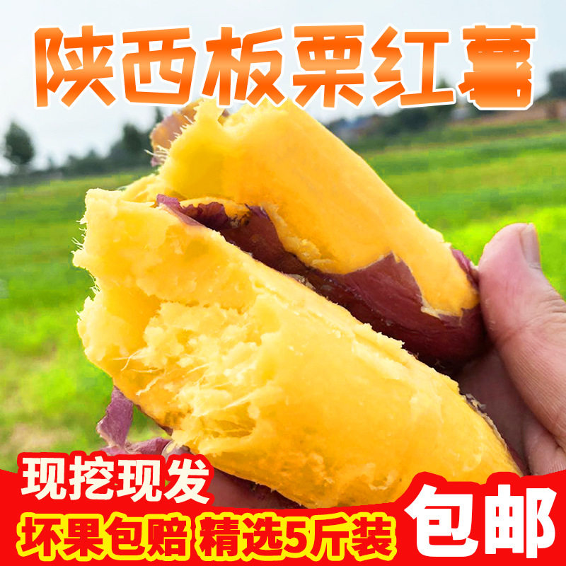 陕西虢王小番薯板栗小红薯新鲜农家自种山芋10沙地小香薯5斤无丝