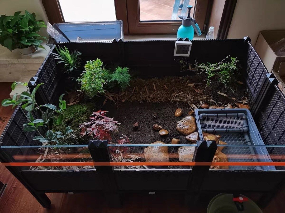 缘龟专造用f38547_1箱黄缘龟饲饲养缸黄缘龟养环境黄缘龟养殖黄箱