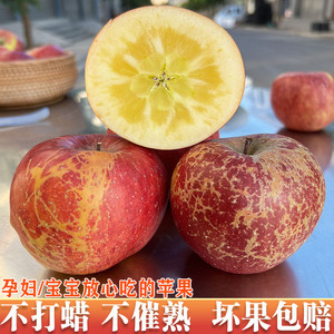 顺丰云南昭通红露现摘新鲜冰糖心甜丑苹果当季脆甜红富士5/9斤