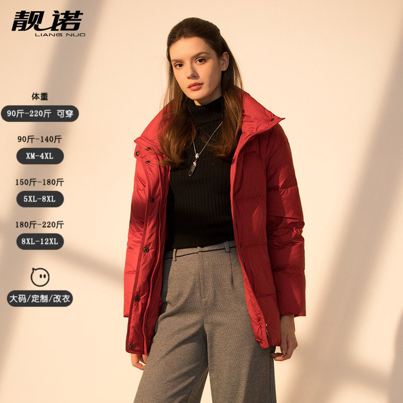 靓诺简约常规款立领白鸭绒羽绒服