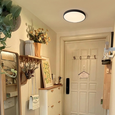 上墅玄关阳台专用吸顶灯现代简约过道入户2024新款小尺寸极简LED