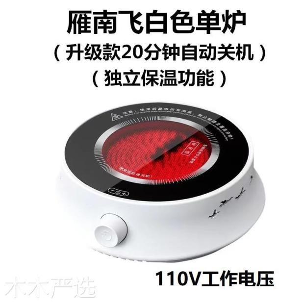 110V电陶炉不挑壶电茶炉静音煮茶玻璃壶迷你烧水炉110V tea stove