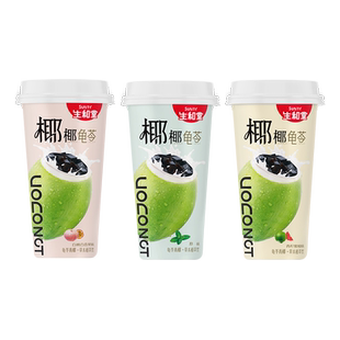 生和堂可吸龟苓膏饮椰浆解馋办公室390g大杯装下午茶龟苓爽龟苓饮