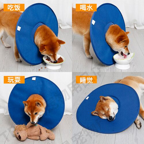 狗狗伊丽莎白圈软圈犬防