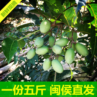 农家自产新鲜青橄榄果生吃青果孕妇煲汤宝宝水果闽侯橄榄5斤装包