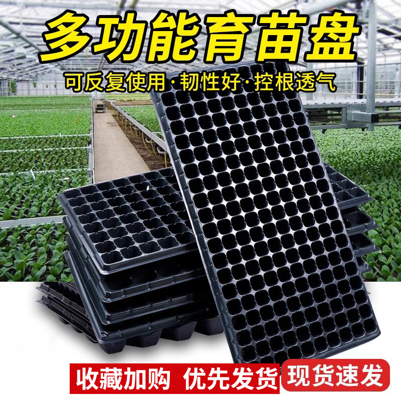 穴盘育苗盘塑料杯种植神器林木育苗盆营养钵蔬菜育种扦插农用托盘