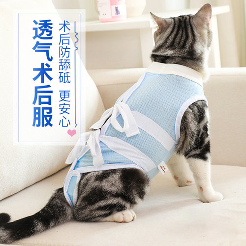 公猫绝育衣服价格 公猫绝育衣服图片 星期三