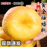 新鮮黃金油蟠桃產(chǎn)地直發(fā)現(xiàn)摘現(xiàn)發(fā)
