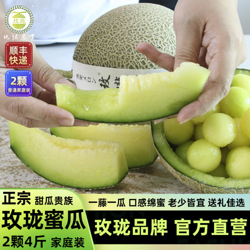 玫珑网纹甜瓜一藤一瓜