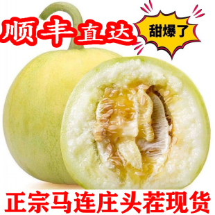 青岛莱西马连庄新鲜水果甜瓜孕妇时令水果香瓜甜宝蜜宝王非羊角蜜