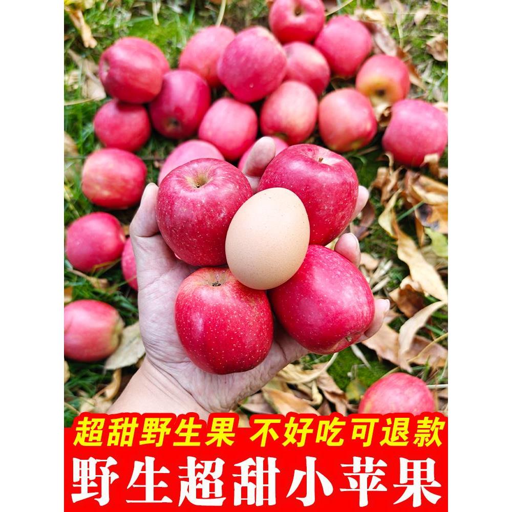 粒味果陆大中国红香苹瑞
