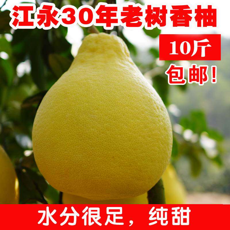 江永香柚10斤湖南永州冰糖柚老树沙田柚子纯甜梅州容县蜜柚