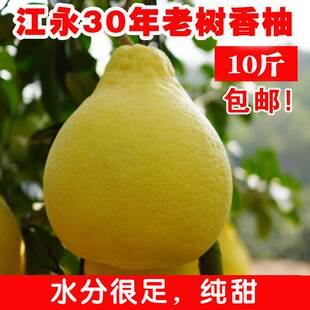 江永香柚10斤湖南永州冰糖柚老树沙田柚子纯甜非梅州容县蜜柚