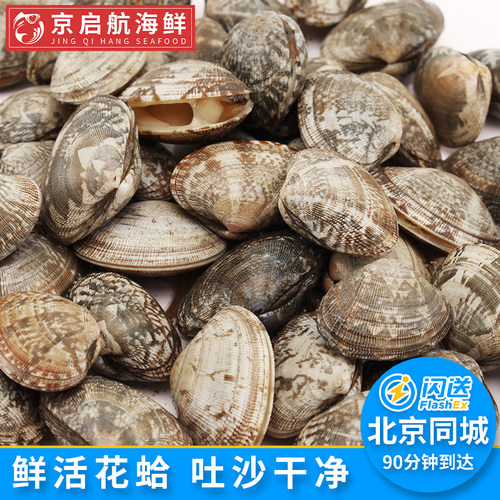 蛤蜊贝类蛤蜊北京闪送