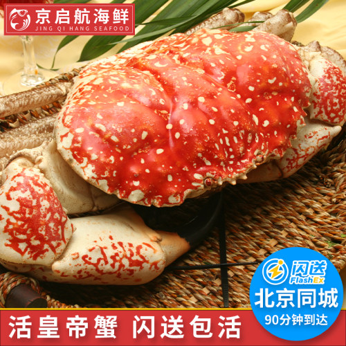 鲜活皇帝蟹特大澳洲巨大帝王蟹
