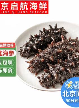 北京闪送 精选优质大连即食海参10只礼盒装高压刺参辽参营养丰富