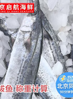 北京闪送 2-10斤 鲜鲅鱼 冰鲜大鲅鱼 整条马鲛鱼 红烧 烟熏 做馅