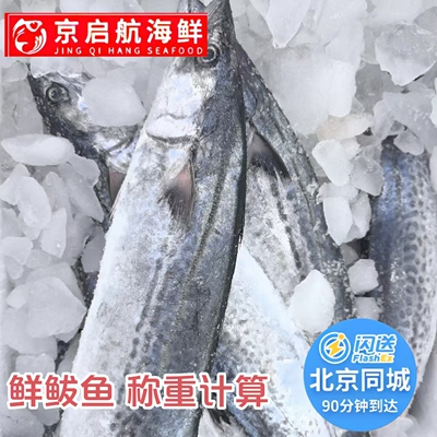 北京闪送 2-10斤 鲜鲅鱼 冰鲜大鲅鱼 整条马鲛鱼 红烧 烟熏 做馅
