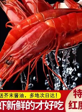 甜虾红魔虾特大网红同款