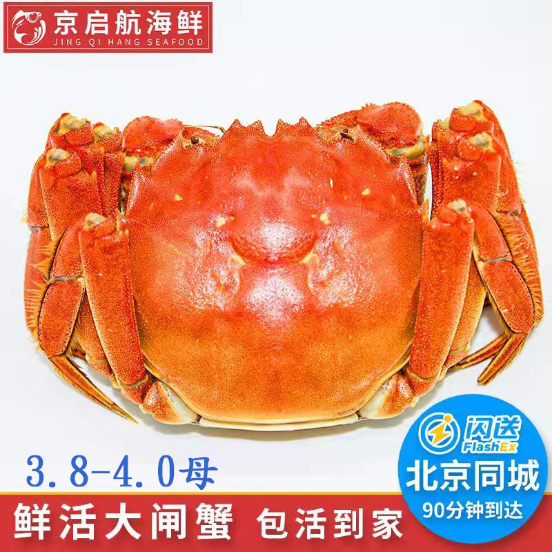 大闸蟹10只包邮母太湖大闸蟹