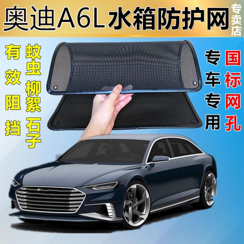 适用于奥迪A6专用水箱防护网
