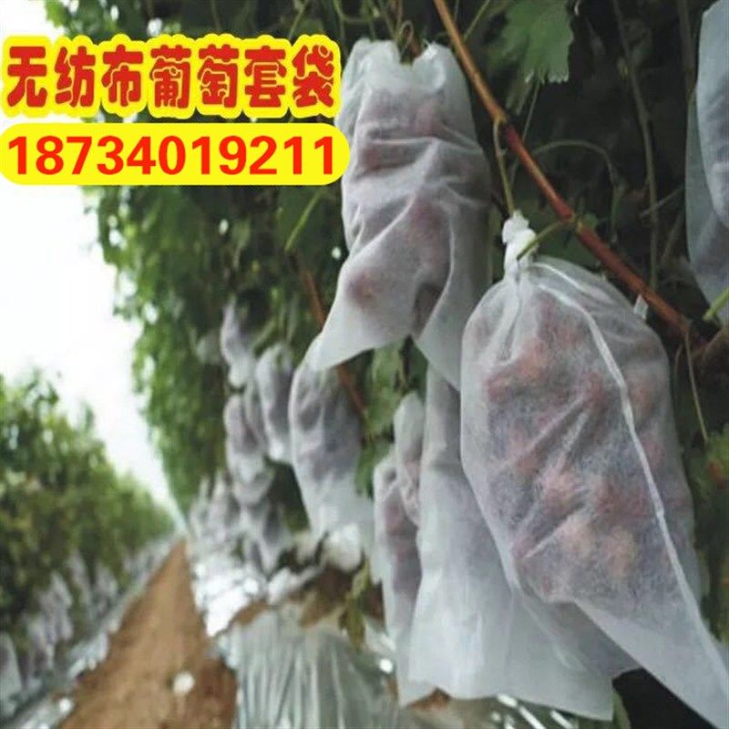 套葡萄专用袋无纺布葡萄套袋葡萄袋子防虫露天水果袋子防鸟防虫,个性定制/设计服务/DIY,明信片定制,淘宝优惠券,粉丝福利购,淘宝优惠卷
