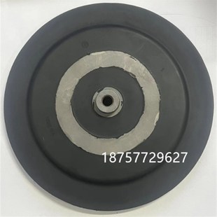 prominent普罗名特计量泵配件MetaS-041000PC膜片1002835泵头隔膜