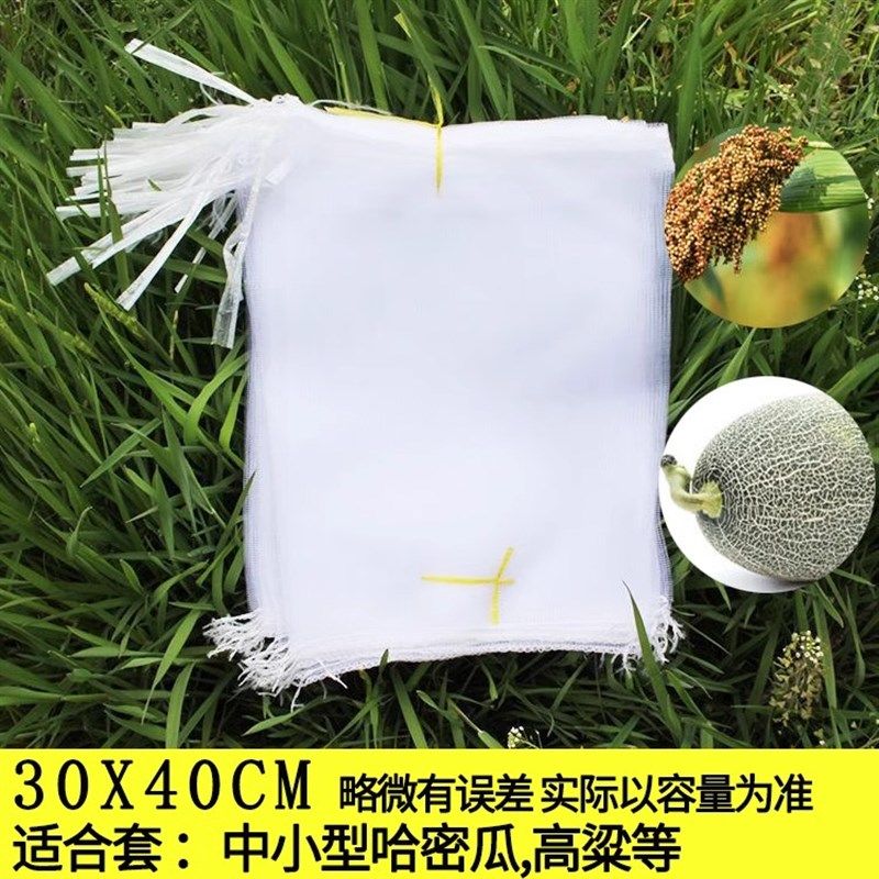 果树防虫网袋防鸟纱网袋保护葡萄袋无花果番石榴草莓套袋桃子套袋,个性定制/设计服务/DIY,明信片定制,淘宝优惠券,粉丝福利购,淘宝优惠卷