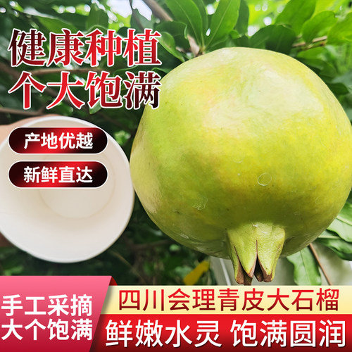 硬籽石榴粉籽石榴会理