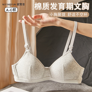 少女内衣女初高中学生二三阶段青春发育期背心运动防震大童文胸罩