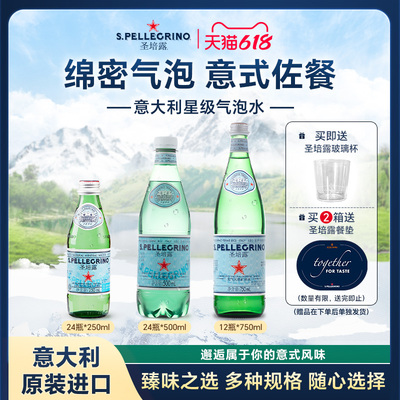 圣培露意大利进口充气天然矿泉水