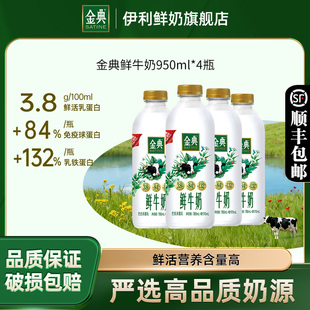 4瓶装 伊利金典鲜牛奶950ml 全脂巴氏杀菌鲜活营养 加量不加价