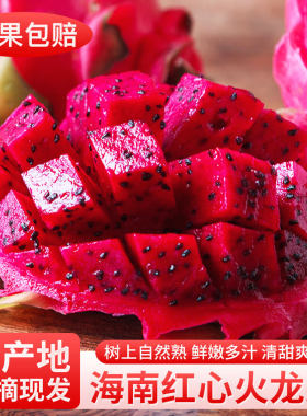 悦己正宗海南特产树上熟红心火龙果红肉礼盒新鲜水果整箱源头直发