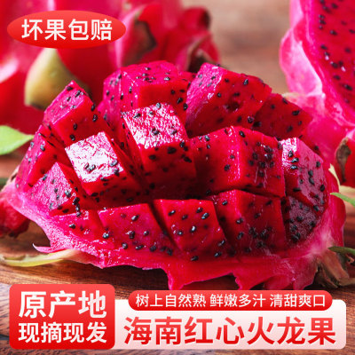 悦己正宗海南特产树上熟红心火龙果红肉礼盒新鲜水果整箱源头直发