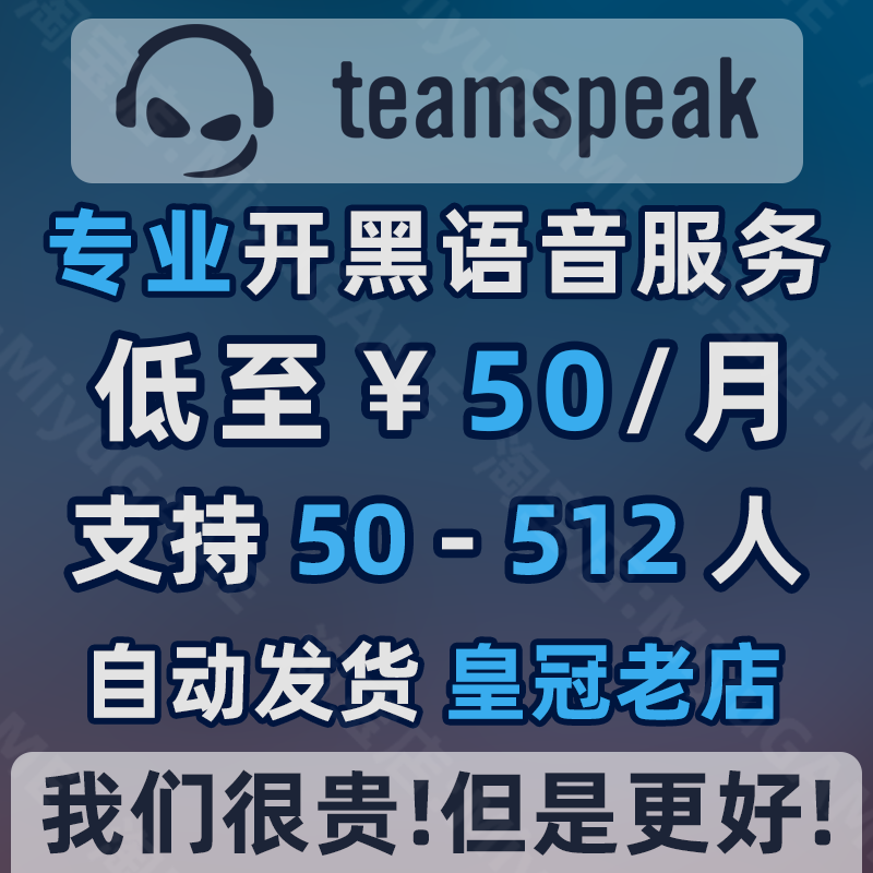 TeamSpeak服务器 专业版50-512人 TS语音服务器 TS3 TS5 TS6 支持