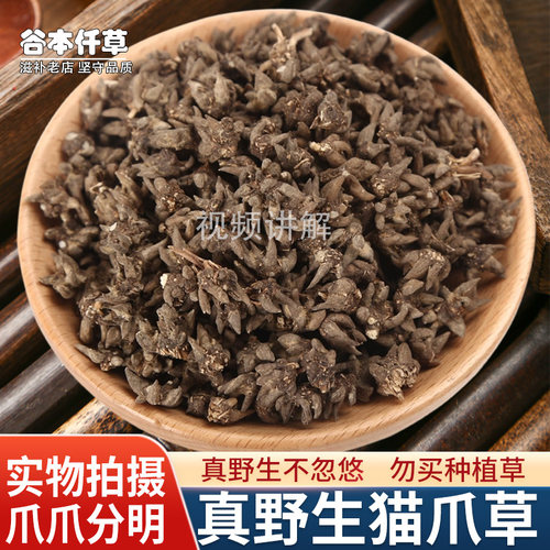 中药材正宗野生猫爪草旗舰店散结