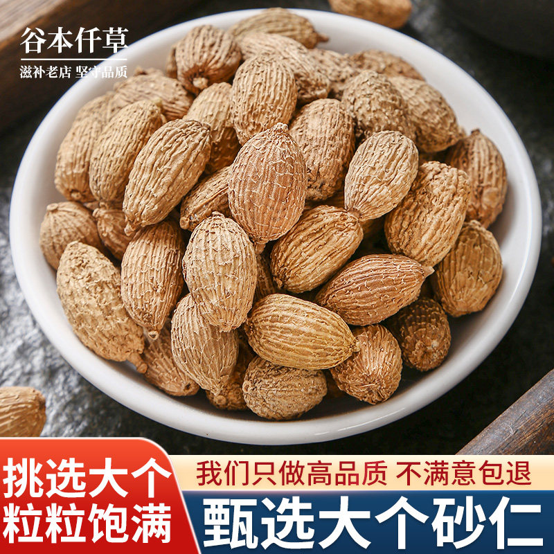 野生正品新货海南沙仁砂仁中药材