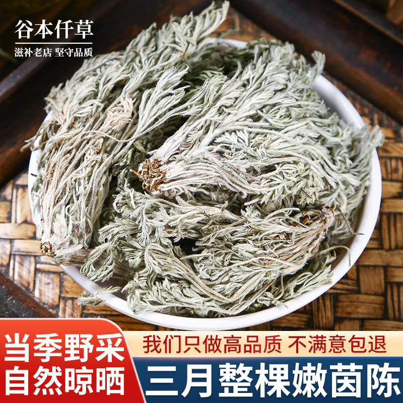三月嫩茵陈精选新货官方旗舰店
