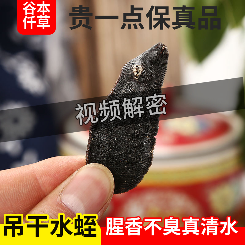 官方旗舰店正品清水吊干大个水蛭